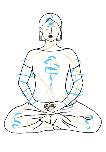 First Image Description